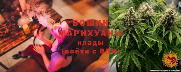 ПСИЛОЦИБИНОВЫЕ ГРИБЫ Баксан