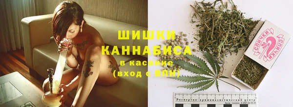 ПСИЛОЦИБИНОВЫЕ ГРИБЫ Баксан