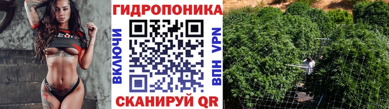 Марихуана планчик  наркотики  Свирск 